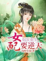 反派女配上位记封面