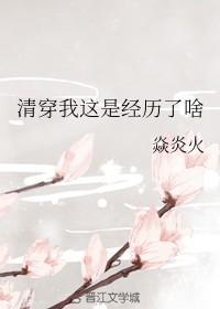 清穿我这是经历了啥封面