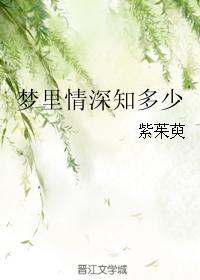 梦里情深知多少封面