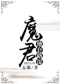 魔君他套路深封面