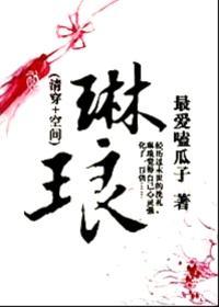 琳琅封面