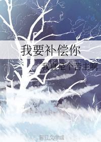 我要补偿你封面