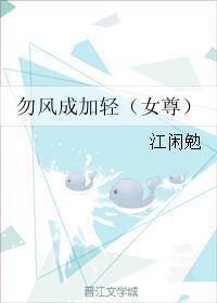 勿风成加轻（女尊）封面