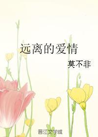 远离的爱情封面