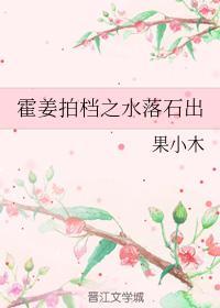 霍姜拍檔之水落石出封面