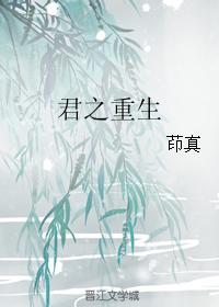 君之重生封面