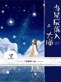 当星辰落入大海封面