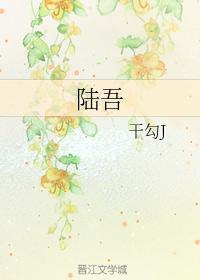 陆吾封面