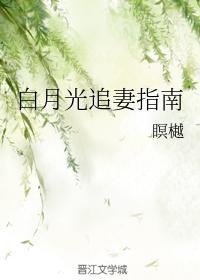 白月光追妻指南封面
