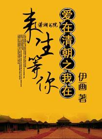 爱在清朝之我在来生等你封面