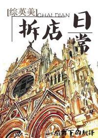 拆店日常[综英美]封面