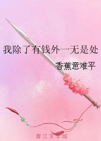 我除了有钱外一无是处封面