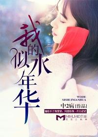 我的似水年华封面
