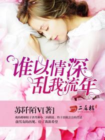 谁以情深，乱我流年封面