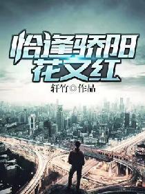 恰逢骄阳花又红封面