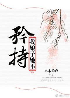 我娘子她不矜持封面