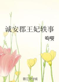 诚安郡王妃轶事封面