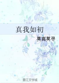 真我如初封面