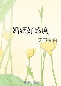 婚姻好感度封面
