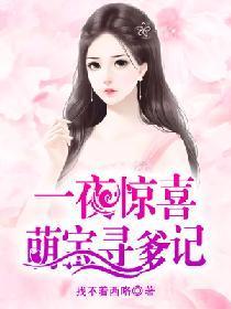 一夜惊喜：萌宝寻爹记封面