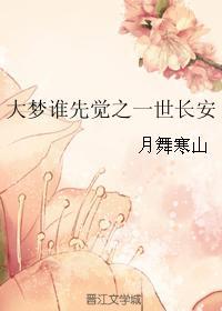 大梦谁先觉之一世长安封面