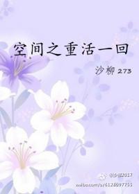 空间之重活一回封面