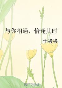与你相遇，恰逢其时封面