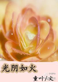 光阴如火（现代女尊）封面