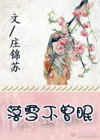 落雪不曾眠封面
