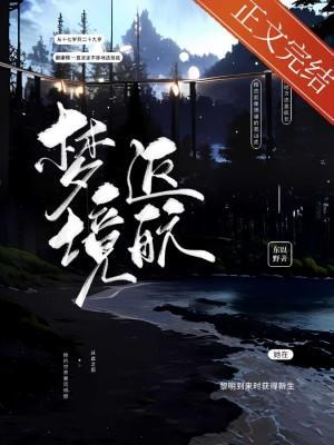 梦境返航封面