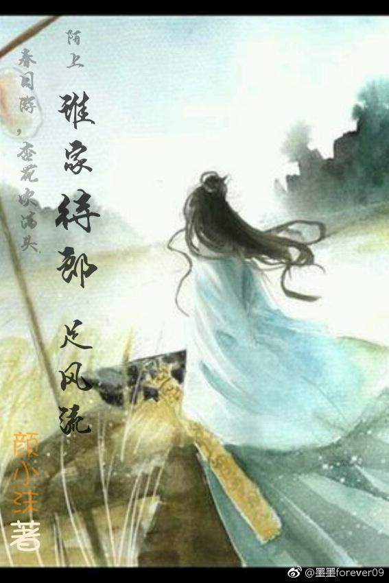 谁家侍郎足风流封面