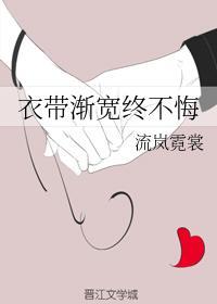 衣带渐宽终不悔封面