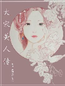 大宋美人传封面