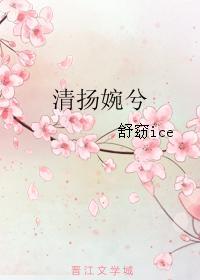 清扬婉兮封面