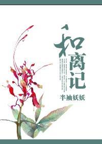 和离记封面