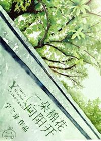一朵棉花向阳开封面