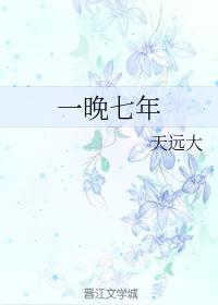 一晚七年封面