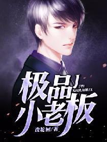 极品小老板封面