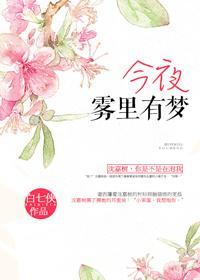 今夜雾里有梦封面
