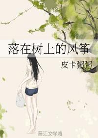 落在树上的风筝封面
