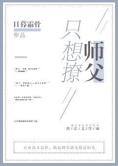 只想撩师父封面