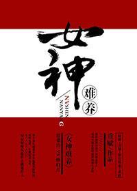 女神难养封面