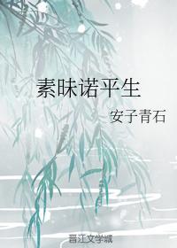 素昧诺平生封面