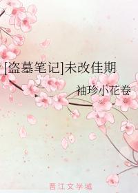 [盗墓笔记]未改佳期封面