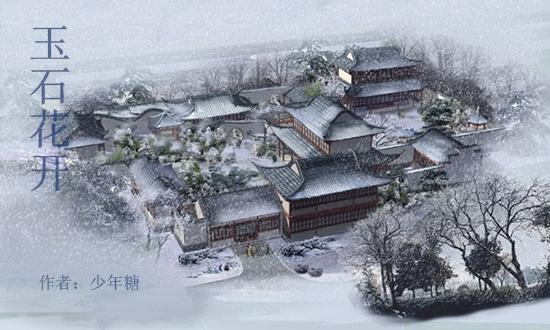 玉石花开封面