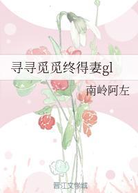 寻寻觅觅终得妻gl封面