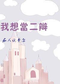 我想当二辩封面