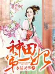 种田第一妃封面