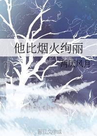 他比烟火绚丽封面