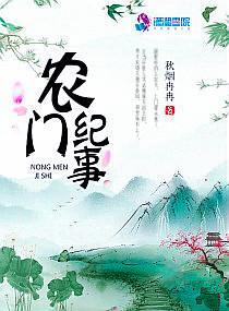农门纪事封面